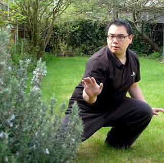 Master Ding Academy Firenze - Scuola Yang di Tai Chi Chuan