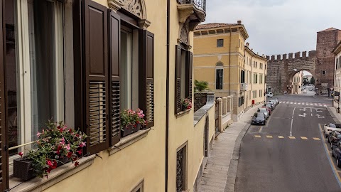 Butterfly Verona