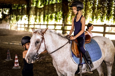 Centro Ippico Albarella - Pony Club, Scuola Equitazione, Pensione Cavalli