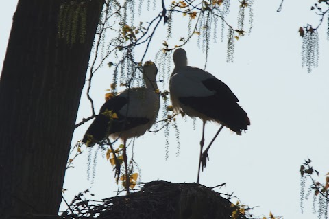 Parco Cascina Venara