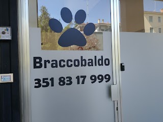 Braccobaldo