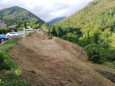 Azienda Forestale Quiligotti Gian Luca