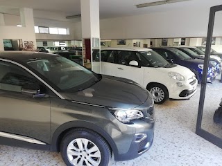 Mordino Auto Srl