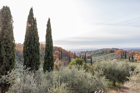 La Tana delle Stelle