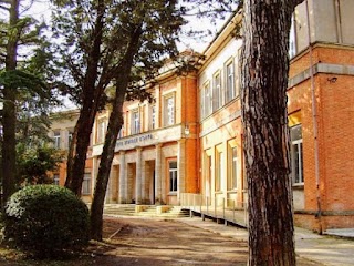 Liceo Artistico "Giosuè Carducci"