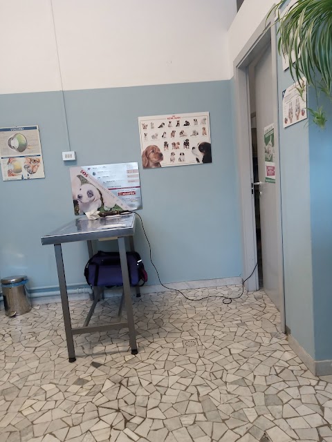 Ambulatorio Veterinario Rucellai Dott. Bevere