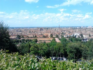 PSICOTERAPEUTA BOLOGNA Vittoria Finzi