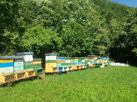 Azienda Agricola Rosaspina di Tanasa Valentina