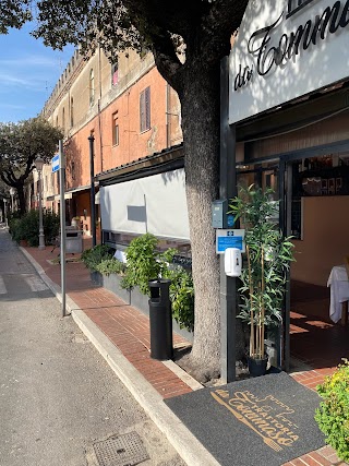 Trattoria Da Tommaso