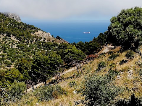 Monte Catalfano veduta su Palermo