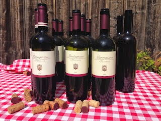 Il Pratello - Modigliana | Vini Biologici & Agriturismo