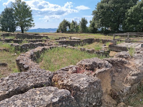 Acropoli Etrusca