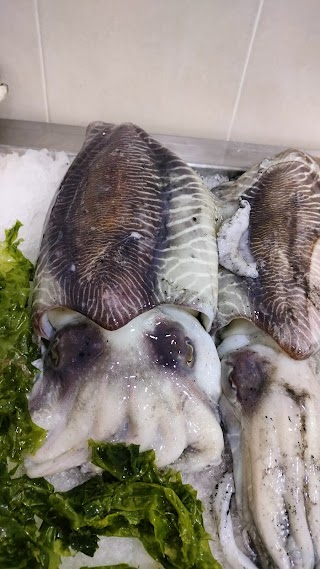 Pescheria del mare