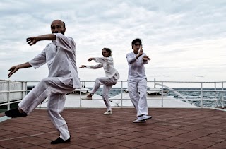 TAI CHI TORRINO VIA DECIMA