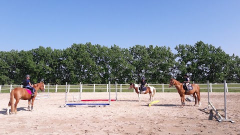 Bologna equestrian center