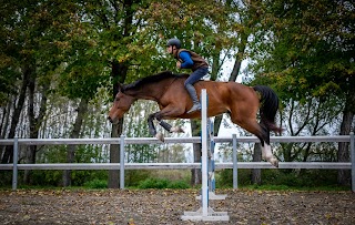 Liberty Stables