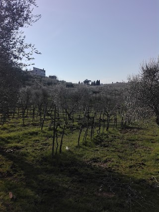 FATTORIA DI CATICCIANO