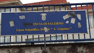 Liceo Scientifico "A. Genoino"