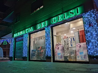 Farmacia Dei Gelsi F.lli Poli Sandri snc di M.G. e Paola Poli Sandri
