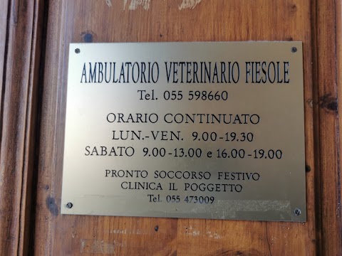Ambulatorio Veterinario Fiesole