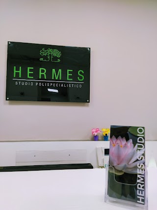 Hermes Studio