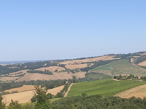 Osteria Da Cesare Di Urbini Vilma