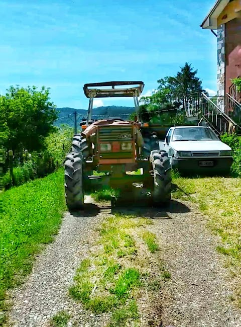 Azienda agrituristica La Margherita - Spuntini e cerimonie Pranzi e cene