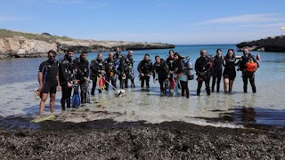 ASD La scuola del mare