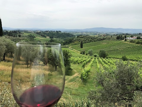 Villa il Pozzo - Wine & Oil tasting
