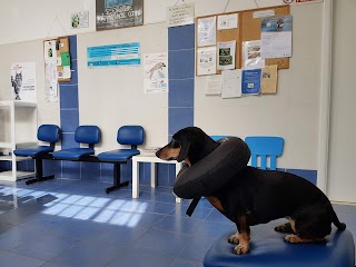 Clinica Veterinaria Mugello