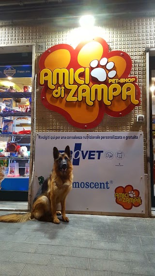 Amici di Zampa