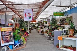 Garden Center Quadrifoglio