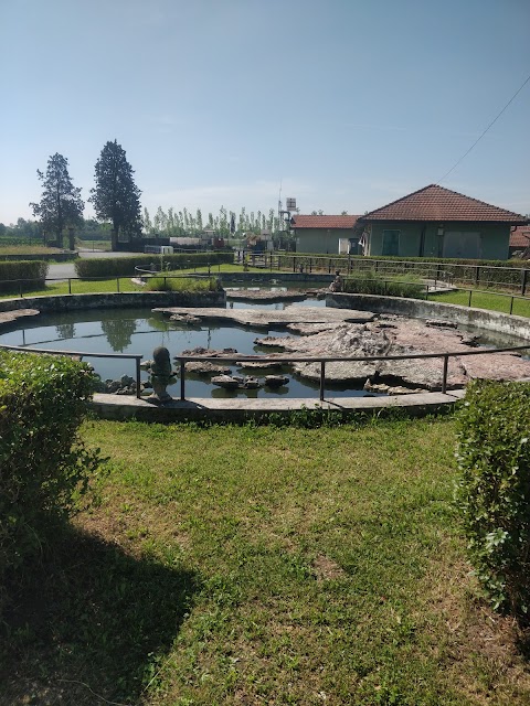 Scuola Don Bosco Opera Salesiana Rebaudengo