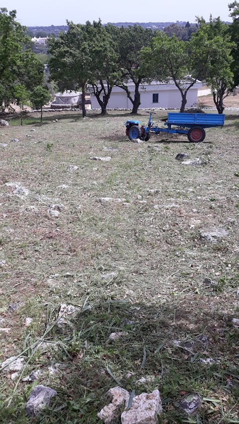 Campagna a Cervarolo