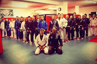 Carlson Gracie Team italia Ari Galo Jiu Jitsu