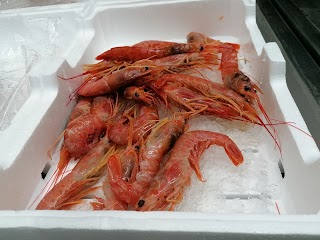 Pescheria Da Ruru