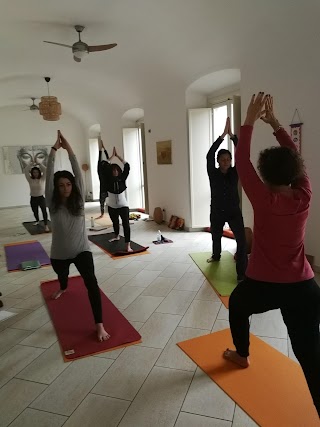 Traditional Yoga Academy