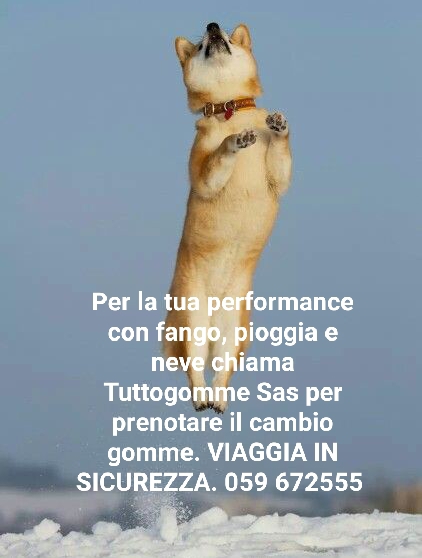 Tuttogomme Sas