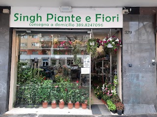 Fiori di singh satnam