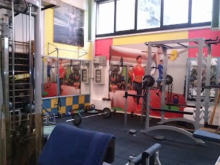 Palestra Linea Club