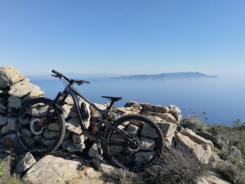 Jolly Bike Store - Genova