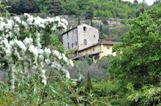 Le Tre Colombe