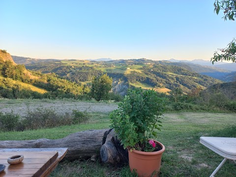 Il Melograno di Matilde