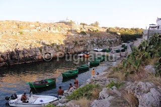 Polignanoidea Case Vacanze - Polignano a Mare