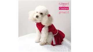 Gimaci Pet Couture