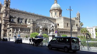 NCC Palermo Cinisi - Damiano Tour Cinisi Palermo