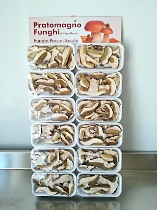 Pratomagno Funghi