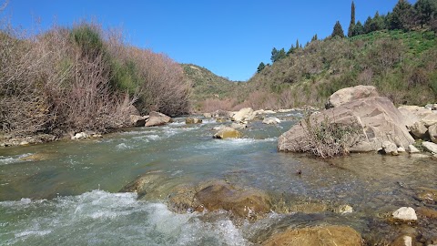 Demanio delle Caronie c/da Baiardo