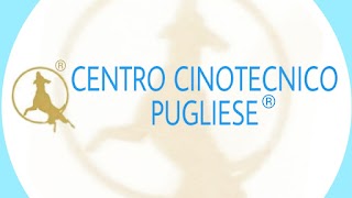 Centro Cinotecnico Pugliese