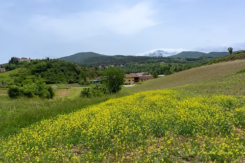 Agriturismo “Veritas” Bed & Wine